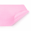 dentix-pro-plus-sliniak-rozowy-2.png