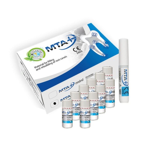 MTA-maxi-set (1).jpg