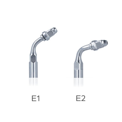 Woodpecker E1 , E2