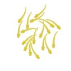 zolte-koncowki-polintech_2